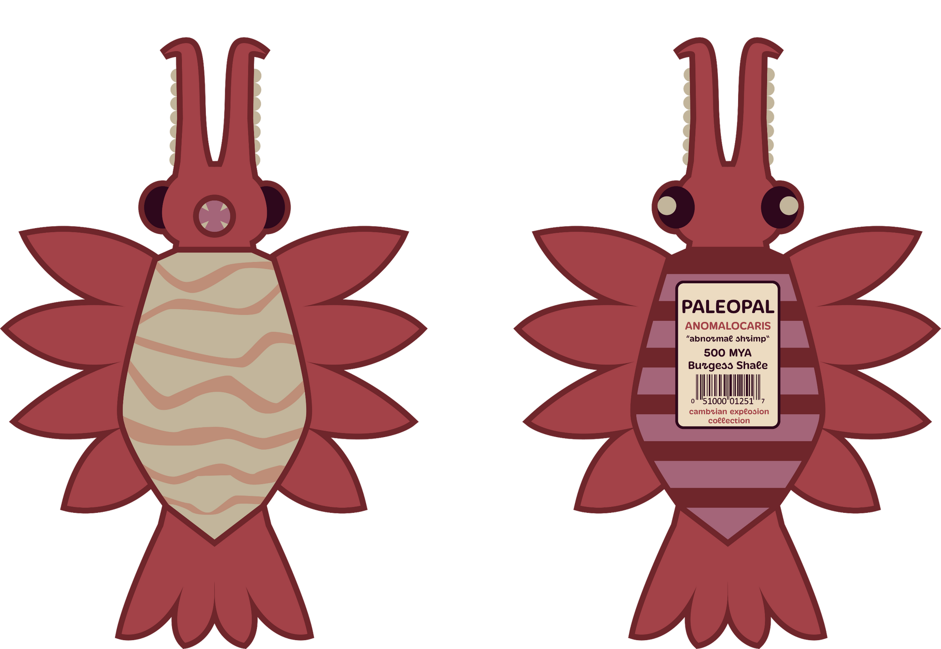 Anomalocaris